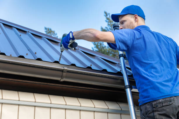 Best Roof Coating and Sealing  in South Rockwood, MI