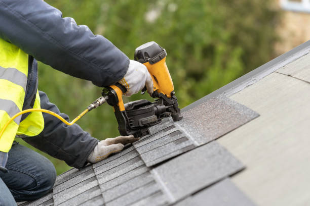 Best Roof Insulation Installation  in South Rockwood, MI
