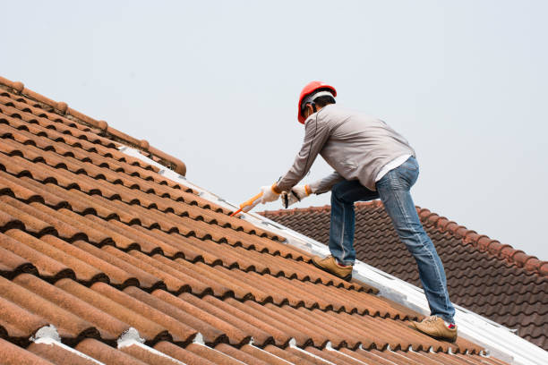  South Rockwood, MI Roofing repair and installation Pros