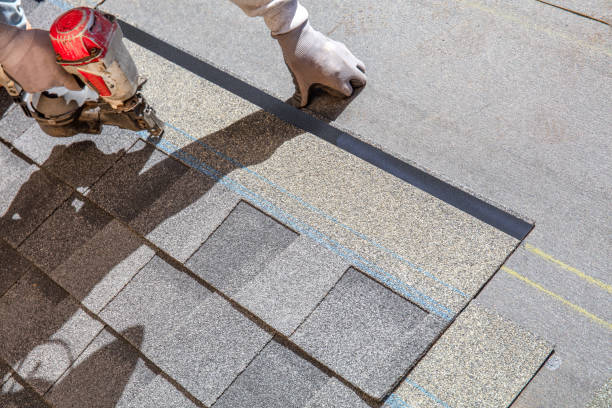 Best Chimney Flashing Repair  in South Rockwood, MI